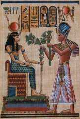 حكايات وأسرار تاريخية .. الزهور المصرية في مصر القديمة